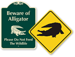 Alligator Warning