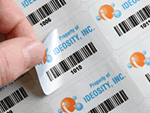 Digitally Printed on Sheets   Economy