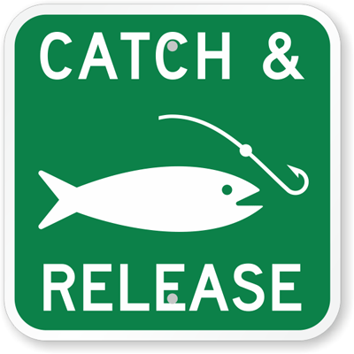 Fishing might be fun, but so are letting the fish go. - fishing sign catch  release sign K-5353