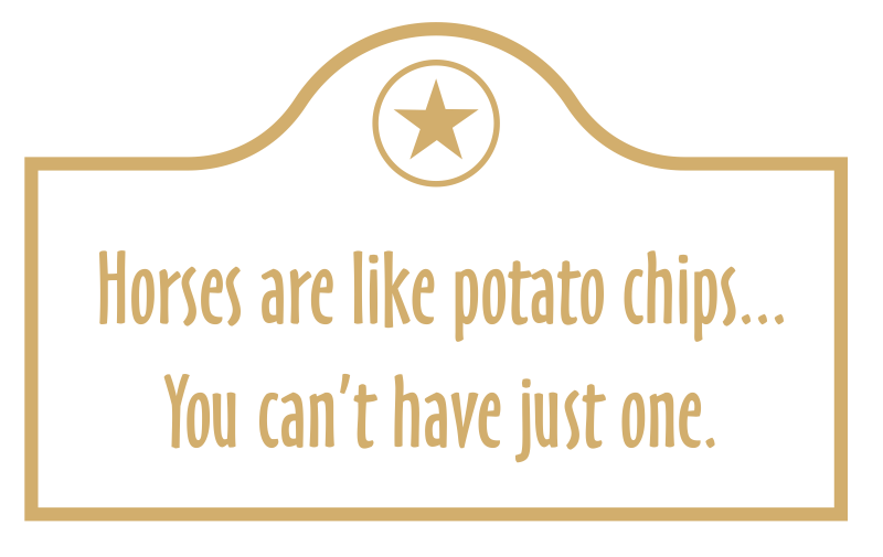 Funny Horse Engraved Arch Marker